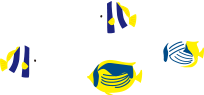 魚